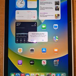 Apple iPad - 10th Generation (2022) - 256GB - WiFi - 10.9-inch
