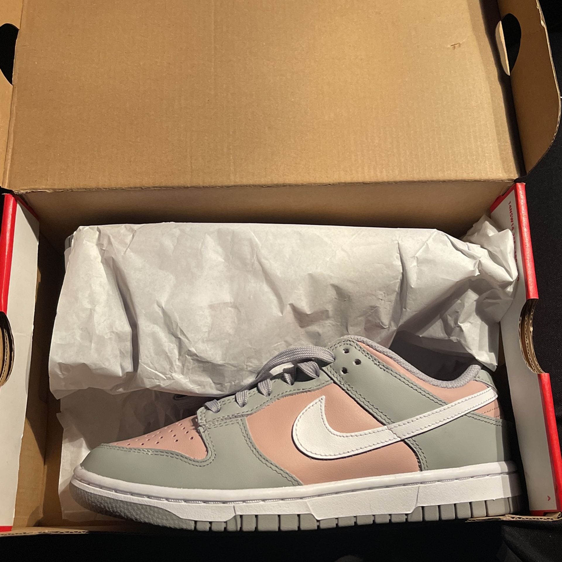 Nike Pink Oxford Dunks