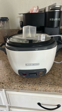 Rice maker