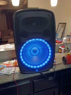 Ion 15 inch speaker