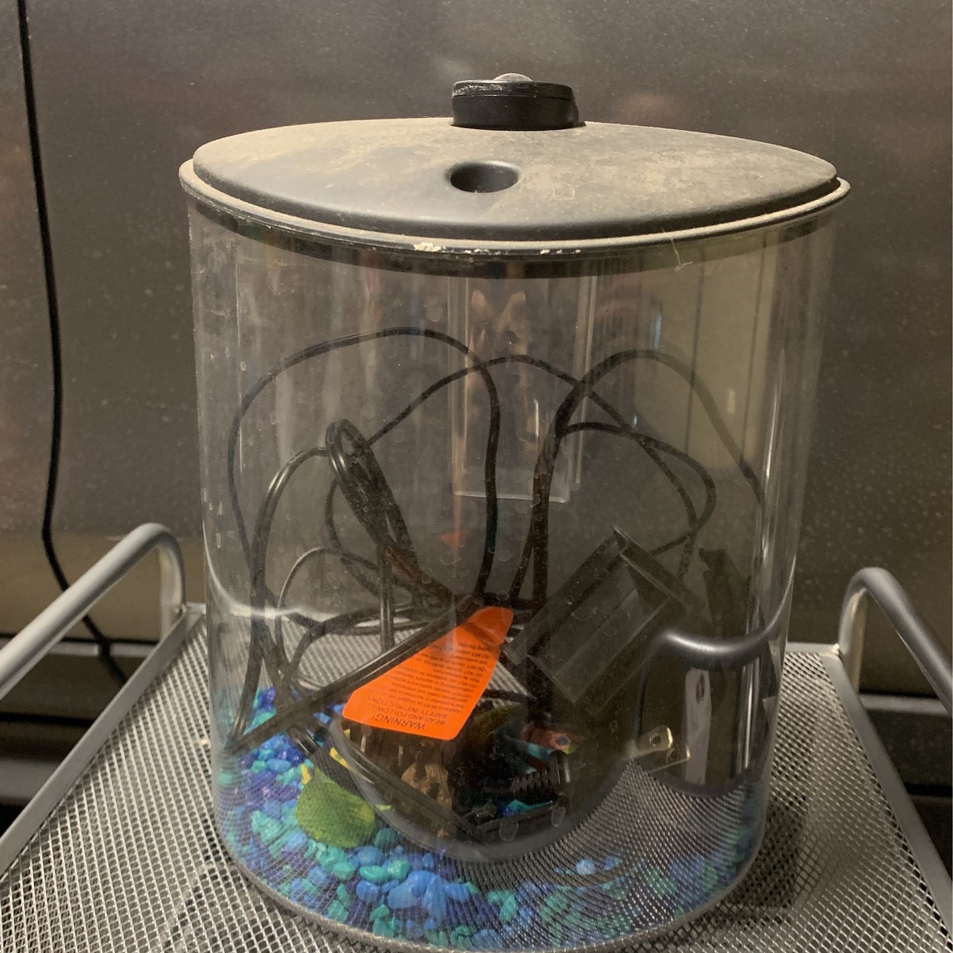 Betta Fish Tank