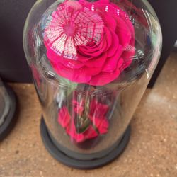 Rose Dome 
