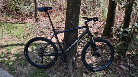 21 speed bike