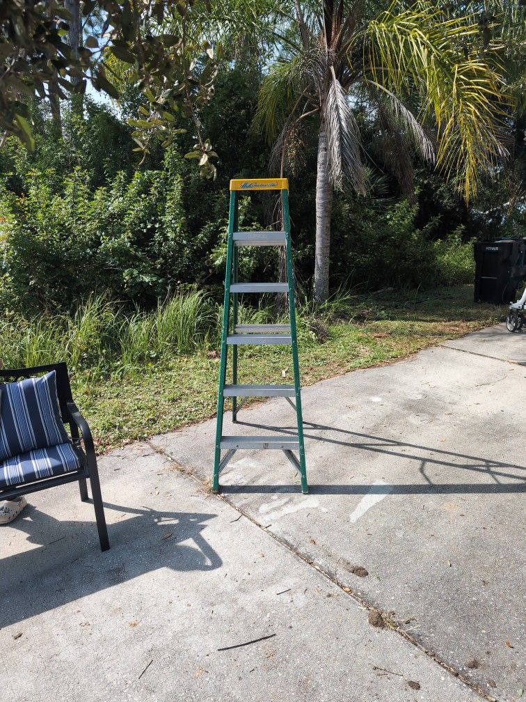 6' Ladder