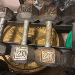 20 lb Pair Hex Iron Dumbbells 