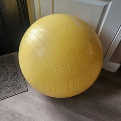 Everlast Exercise/Stability Ball