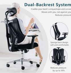 Ergonomic Office Chair Dual Backrests, BV Lumbar Support Office Desk Chair  Back Support, Breathable mesh Office Chair 3D Adjustable Armrest