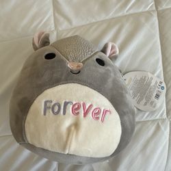 Squishmallows Thompson Armadillo Besties Forever 7.5"