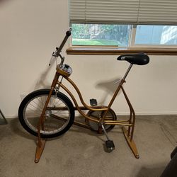 Schwinn Exercise Bike 
