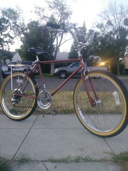 Schwinn sidewinder top gear shifter