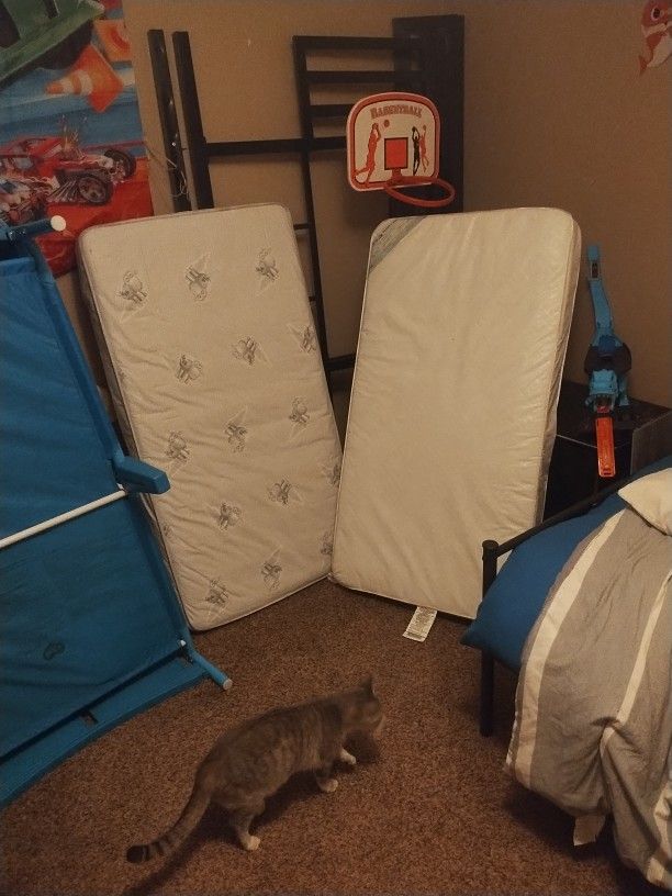 Toddler Bed And Two Toddler Mattresses