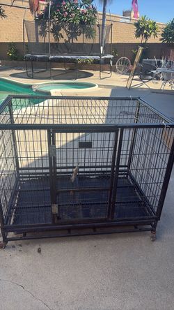 Large dog cage