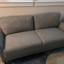 Lightly Used Couch 