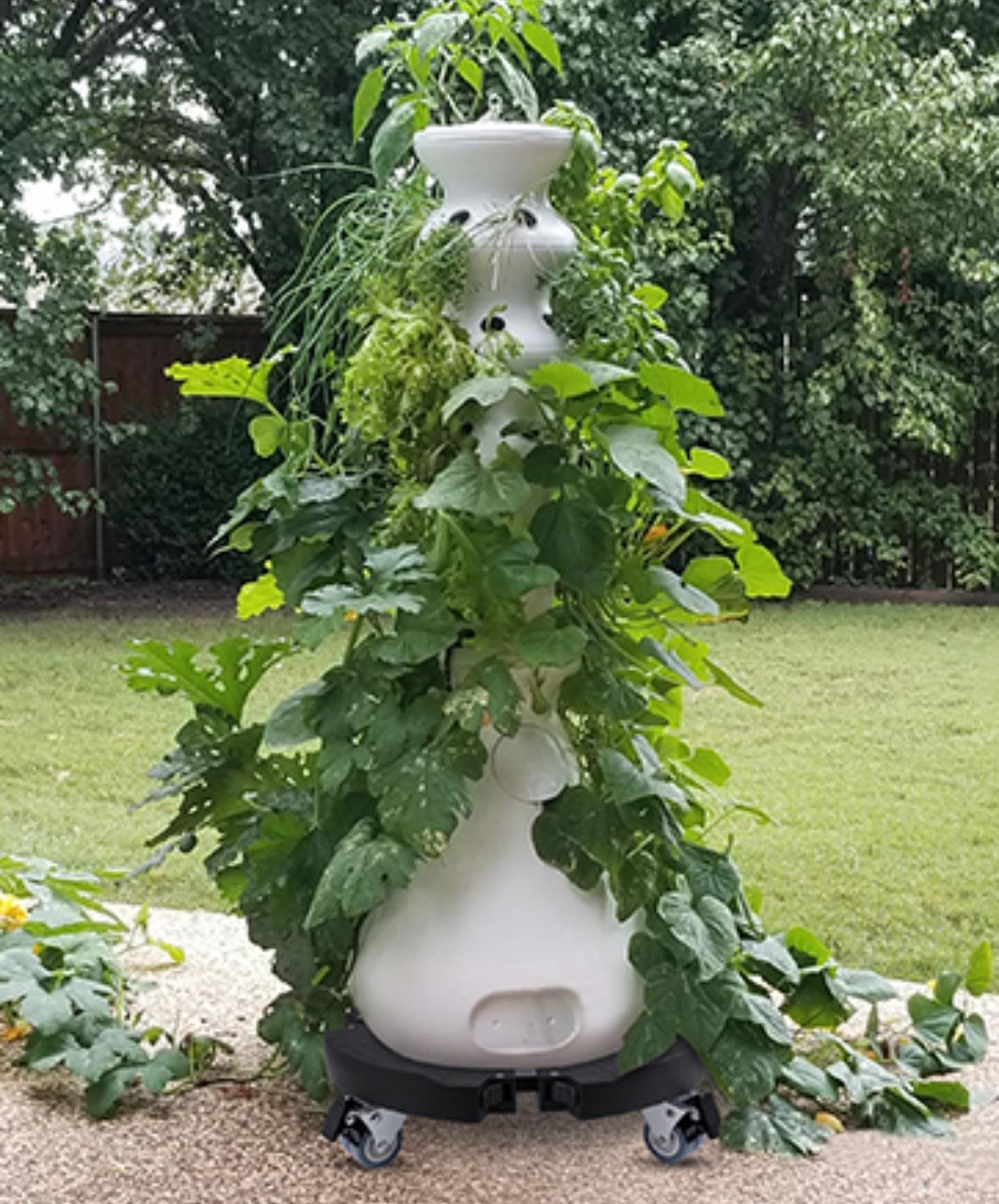 Lettuce Grow Farmstand 5 Tier Hydroponic Grower