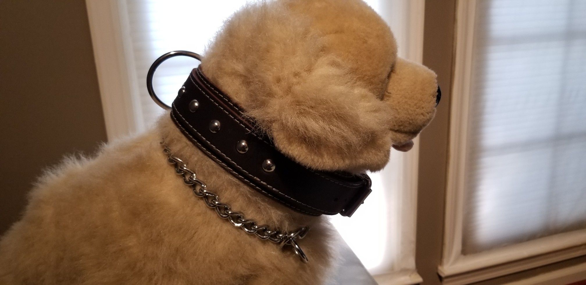 LEATHER DOG COLLAR