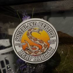 Reptile tank