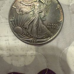 1991 Walking Liberty Coin With Toning. 