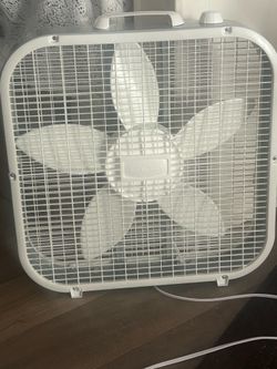 Lasko Box Fan