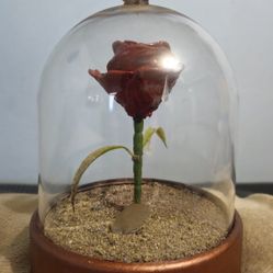 Rose In A Vase