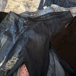 Women’s Pants 