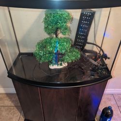 35+ Gallon Fish Tank With Accessories