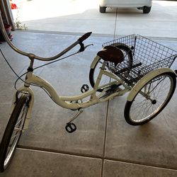 Schwinn Adult Tricycle 