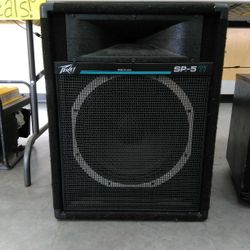 Peavey Speaker