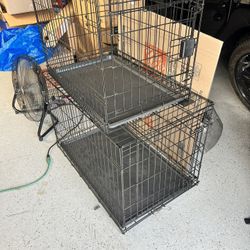 Dogs Cages 