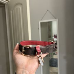 Coach Dog Collar 