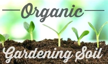 Black Gold Organic Rich Soil
