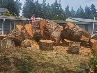 Free firewood