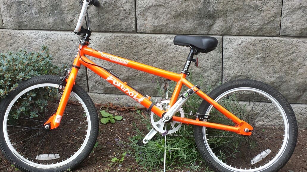 Tony Hawk Paranoid 20" boys bike