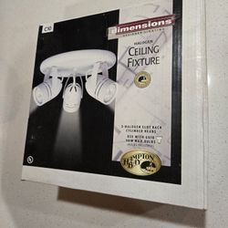Ceiling Fixture (Halogen Bulbs)