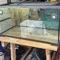 Reptile Or Fish Tank