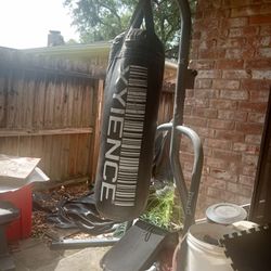 Xyience Punching Bag With Stands
