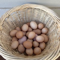 Farm Fresh Eggs