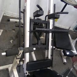 45° Angle Leg Press 
