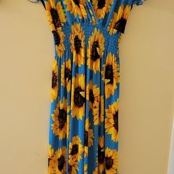 Brand new womens dress size Large 