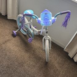 Frozen Bike
