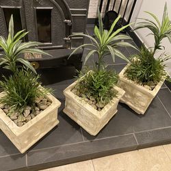 Concrete Set of 3 Plant Pots