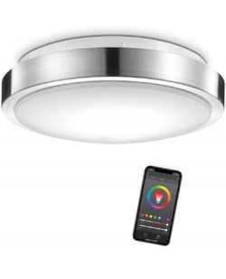 smart Flush Mount Ceiling Light Fixture