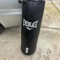 Ever last Punching Bag 