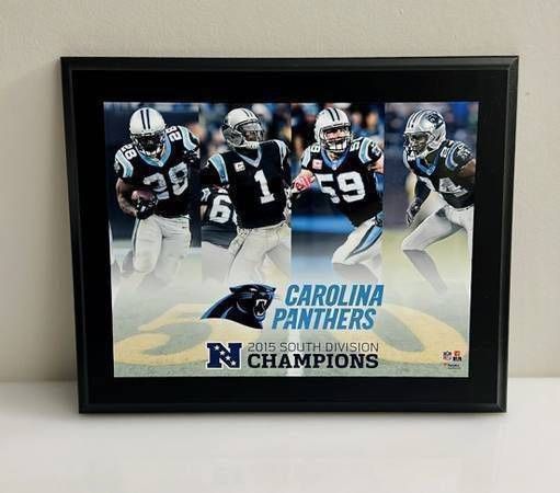 NFL Fanatics Authentic North Carolina Panthers 2015 South Division Champions Wall Hanging Frame Man Cave Decoration