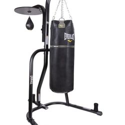 Everlast 70lb punching bag and speed bag