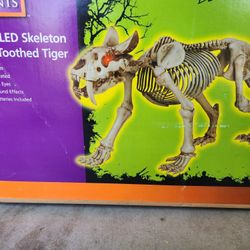 Home Accents Holiday HALLOWEEN Saber Tooth Tiger Skeleton Decoration 