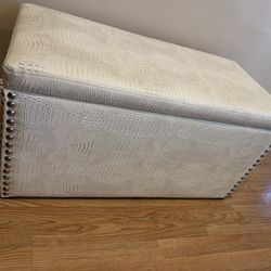 Storage Bench/chest
