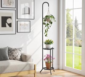 Black Metal Plant Stand