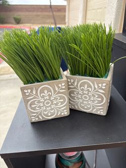 Decor