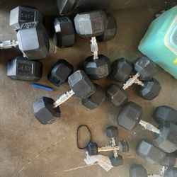 Life Fitness Weights 