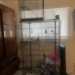 Cat Cage/Rat Cage both $65